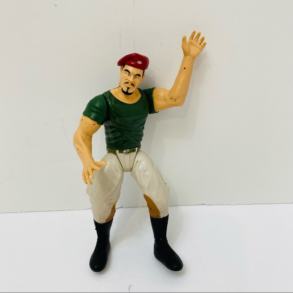 WWE Action Figure